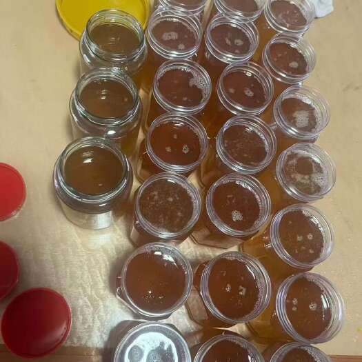 江西水库大山野蜂蜜7天成熟蜂蜜 蜂农直供