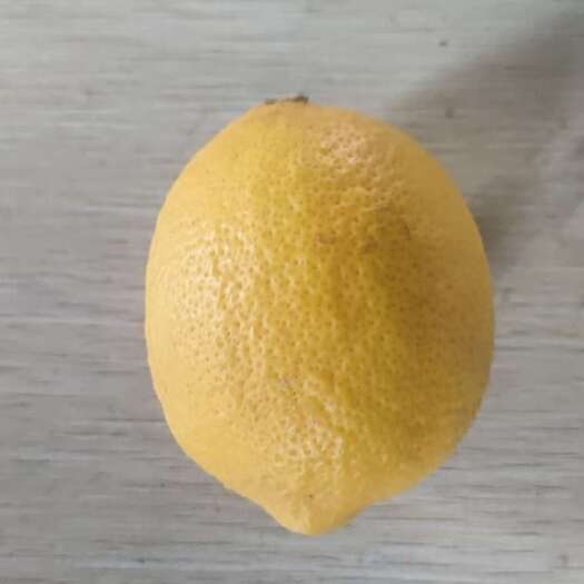 仁寿县安岳黄柠檬一件代发