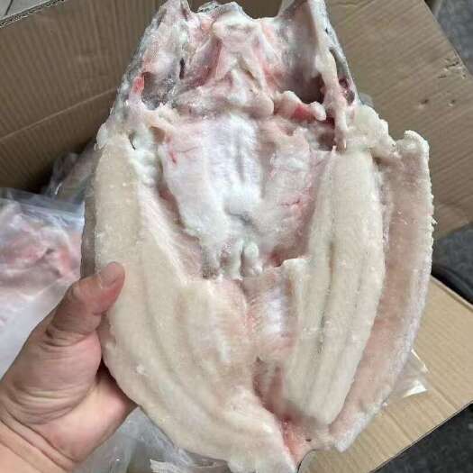 中牟县干冰开背巴沙鱼，全规格