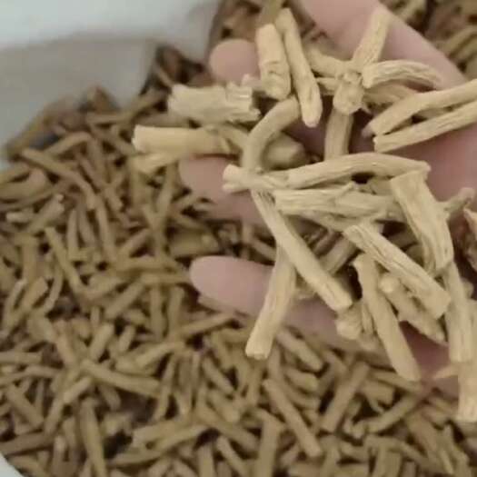 陇西县防风寸节