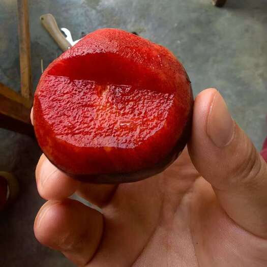 澳洲红李子果肉酸甜多汁，肉厚核小。