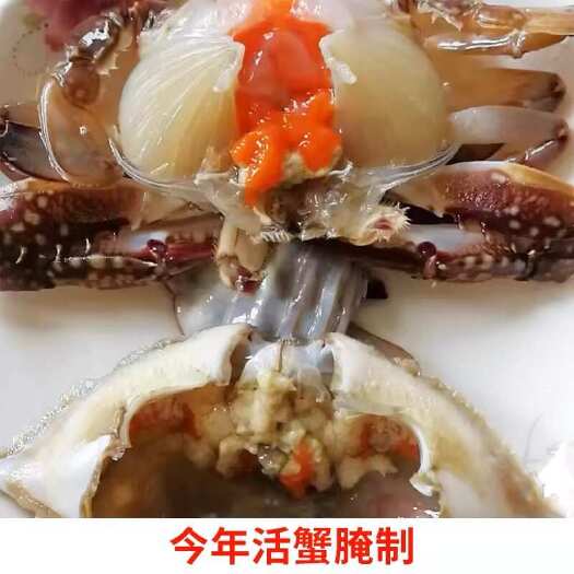 舟山红膏蟹一件代发 咸呛蟹整只红膏呛蟹酱母蟹即食海鲜生腌制