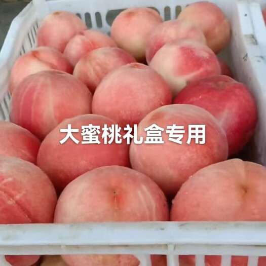 深州市河北衡水深州突围蜜桃新鲜采摘果大香甜水分足现摘现发