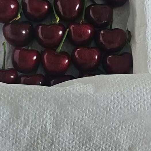 大连樱桃，美早，俄八，沙王，