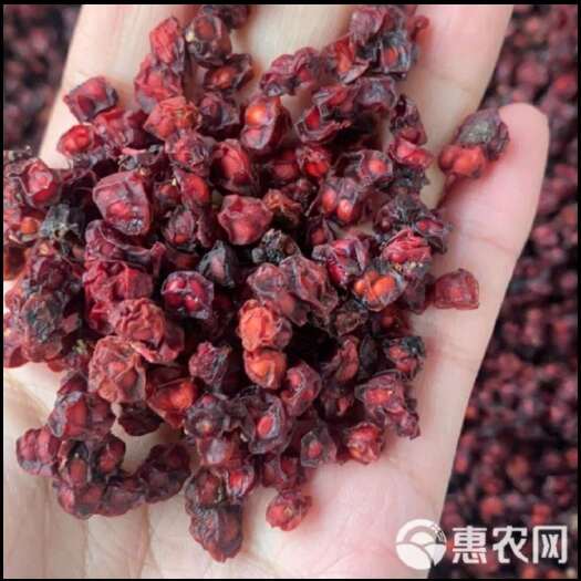 中药材  五味子 快递物流配送