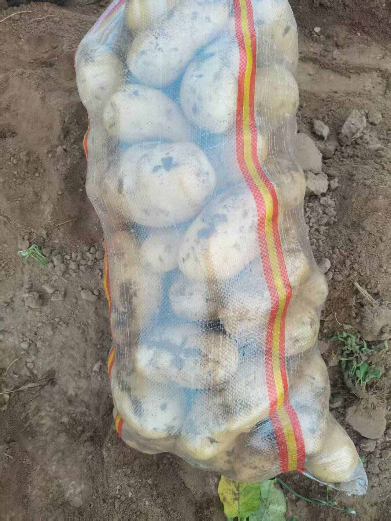 黄心土豆   口感醇厚绵密，味道香醇