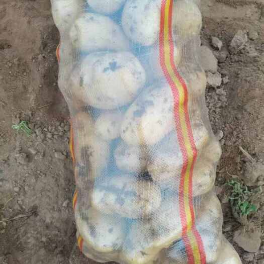 平度市黄心土豆   口感醇厚绵密，味道香醇