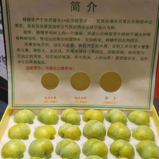 镇宁县蜂糖李