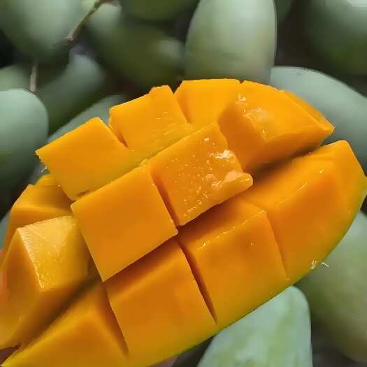 昆明大青芒 支持一件代发