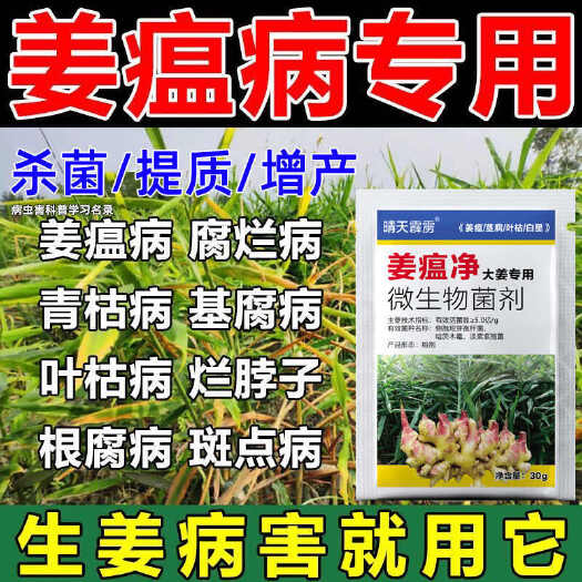周口姜瘟病生姜病干尖黄叶全治生姜杀菌剂姜瘟清姜瘟灵生姜专用姜瘟净