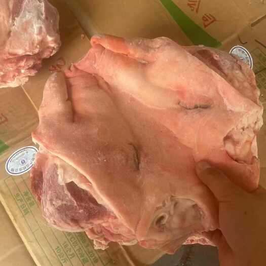 一级无耳猪头