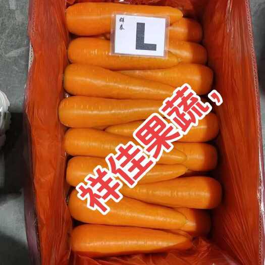 寿光市寿光蔬菜之乡  各种蔬菜瓜果，原产地，一手货源，可持续供货