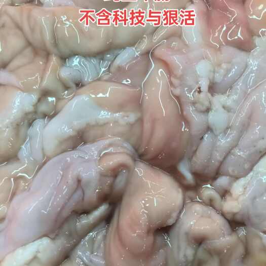 睢宁县生牛肠  牛肠