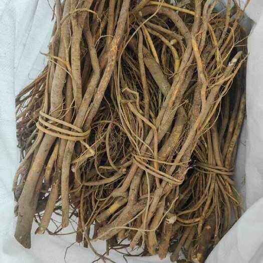 广州五指毛桃鲜货. 5斤起广东包邮感兴趣的话点“我想要”和