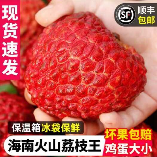 凤城市妃子笑