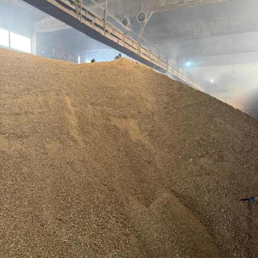 哈萨克斯坦葵花油厂出售葵花籽粕，蛋白40个单位