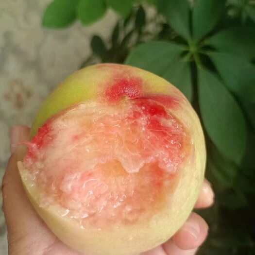 【顺丰为主 阳山水蜜桃同款-京红水蜜桃】当季新鲜水果5礼盒装
