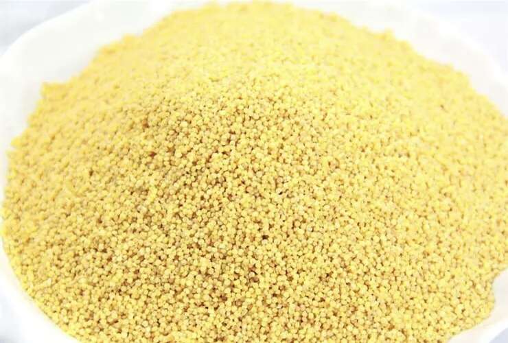 内蒙古赤峰黄小米 现磨谷物 精选优质粮品