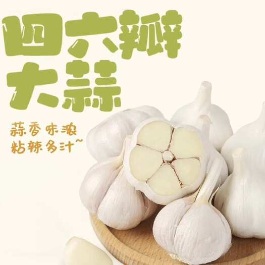 兰陵县山东临沂新鲜白皮蒜 兰陵县直发优质大蒜