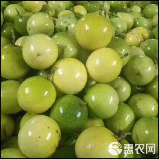 河口县黄金百香果