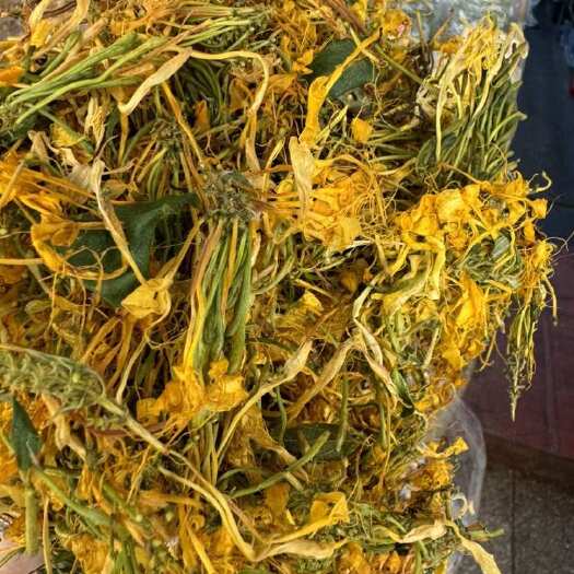 五彩花贵州开花金银花养生茶