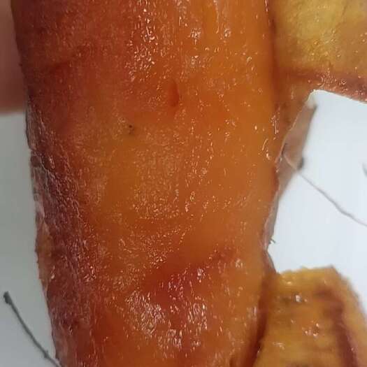 密薯25