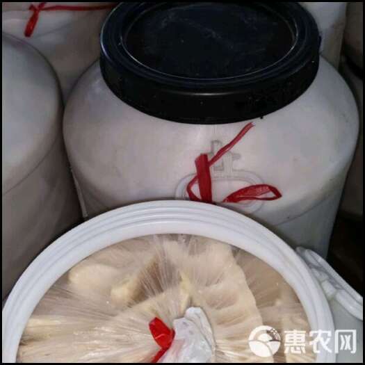 云浮产地直销，1000亩竹园，竹笋定多少挖多少。保证的新鲜。
