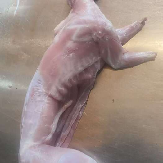 峨眉山市兔肉