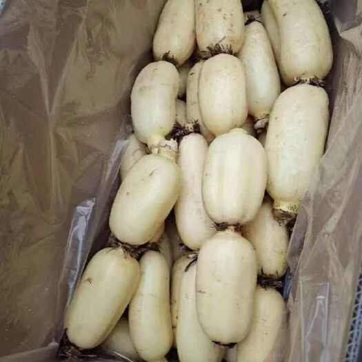 脆莲藕