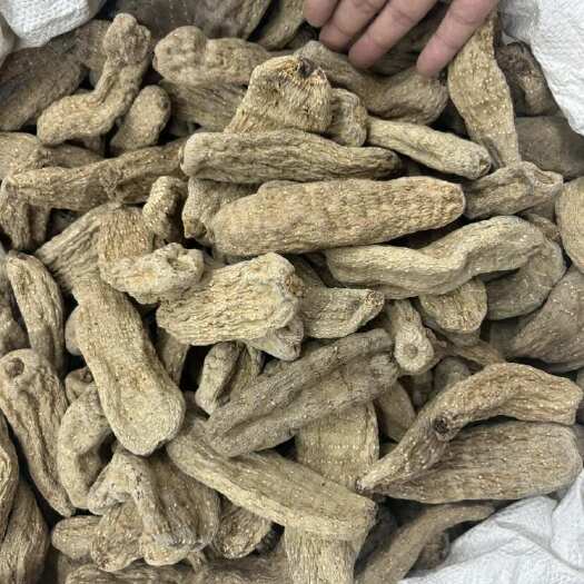 昆明小草坝乌16头天麻，无硫，全干货，一斤也是批发价
