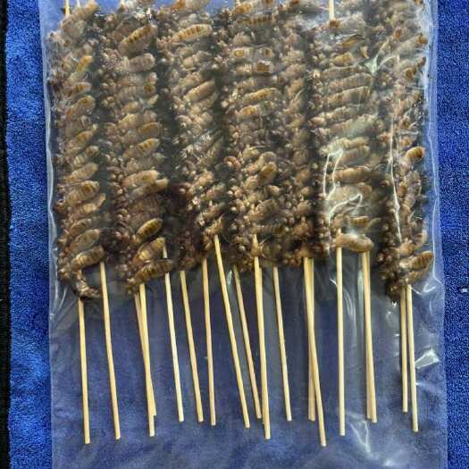 罗定市土狗烧烤串蝼蛄烤串100串/箱