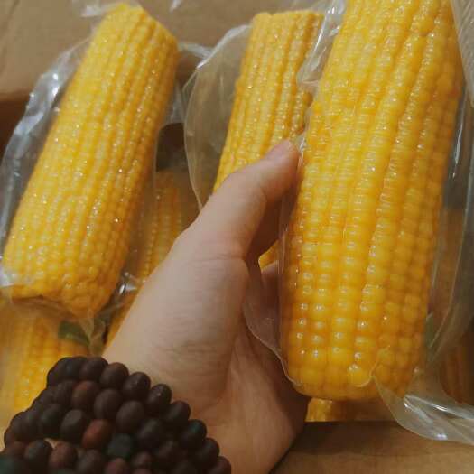 鲜玉米（东北鲜玉米，真空包装）