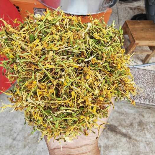 贵州散装金银花茶 ，四季皆宜直发 食用农产品