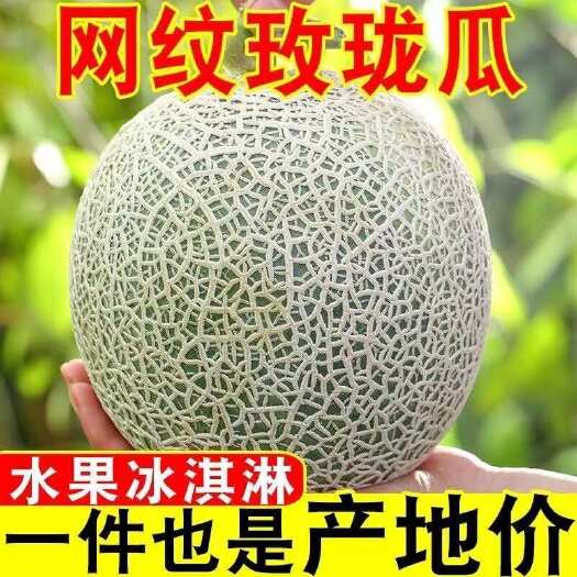莘县网纹瓜 山东冰激凌网纹蜜瓜