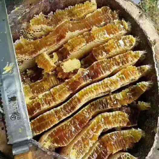 凯里市贵州大山里野生蜂蜜