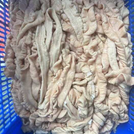 深圳精品去油大肠