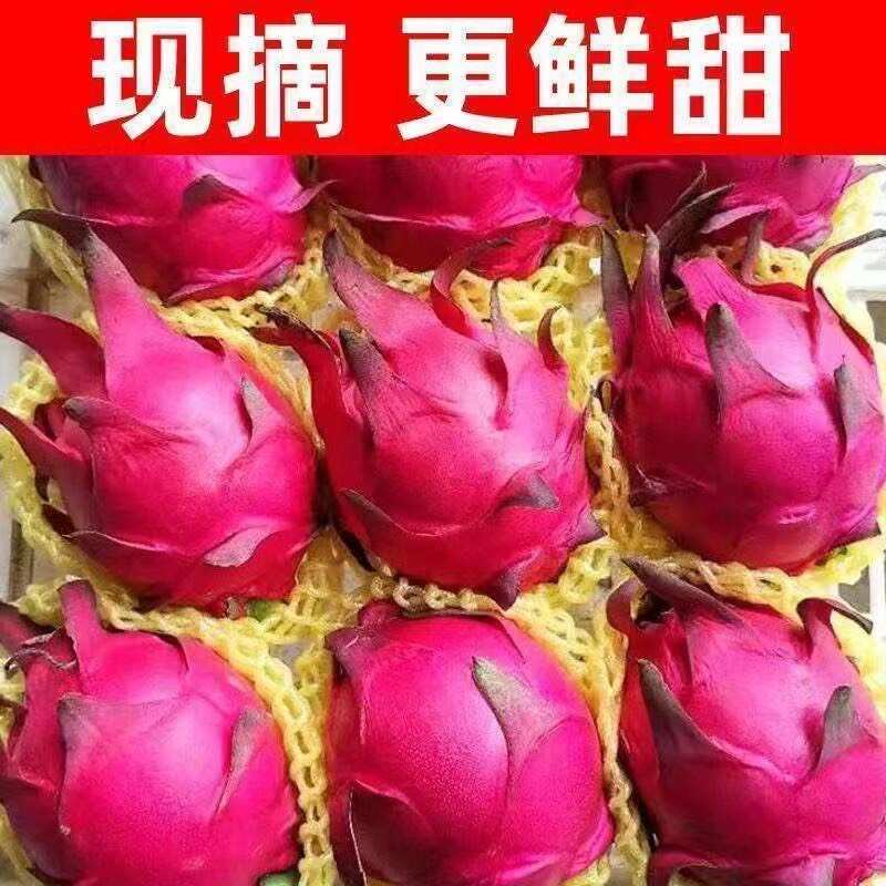 广西金都一号红心火龙果超甜新鲜当季水果整箱火龙果红心