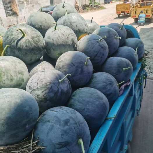 洞庭一号黑无籽西瓜 精品8成半熟，露天种植产地直发 支持代发