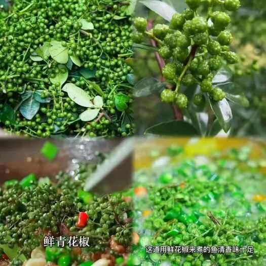 射洪市四川青花椒，，新鲜青花椒
