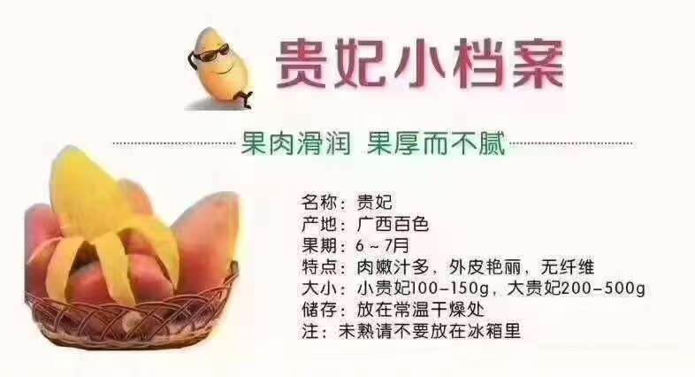 田东县贵妃