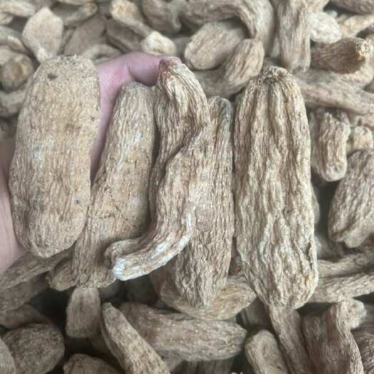 昆明无硫本色天麻，产地直销，量大价优