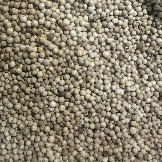 玉林干颗粒白胡椒 粮油米面调味香辛料