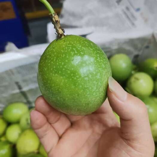 海口钦蜜9号百香果，要多少有多少