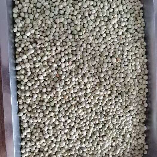 新郑市干豌豆青绿色