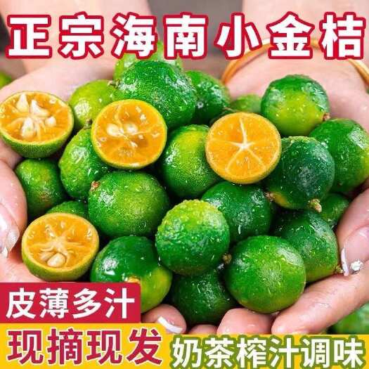 海口海南青皮小金桔  一件代发 电商平台一件代发