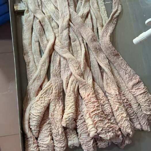 深圳精品去油肠头
