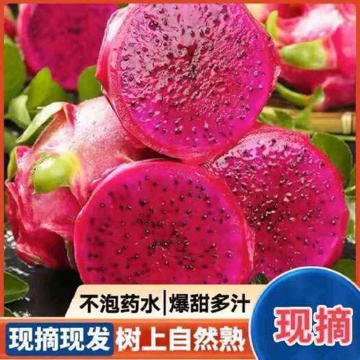 25年火龙果 电商货市场货 一件代发