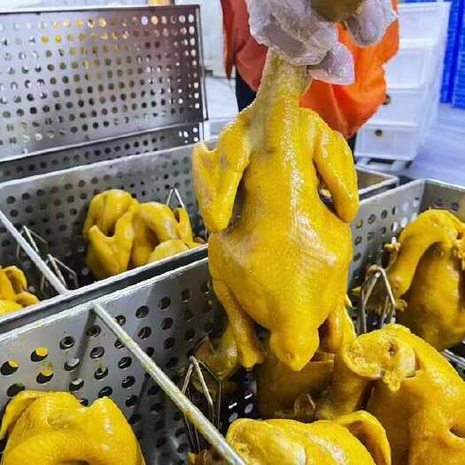 清远盐焗鸡养殖场源头直出每天现宰现出皮滑肉嫩鲜咸二字淋漓尽致