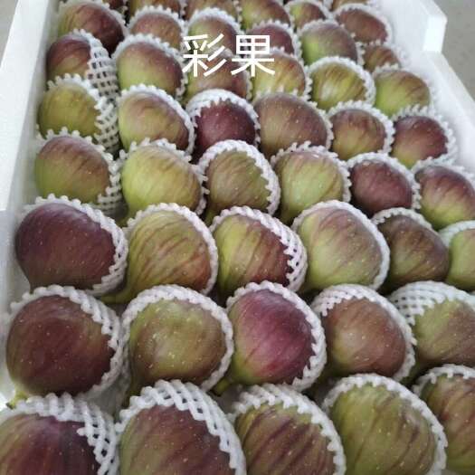 昆明云南无花果，支持一件代发，市场，商超