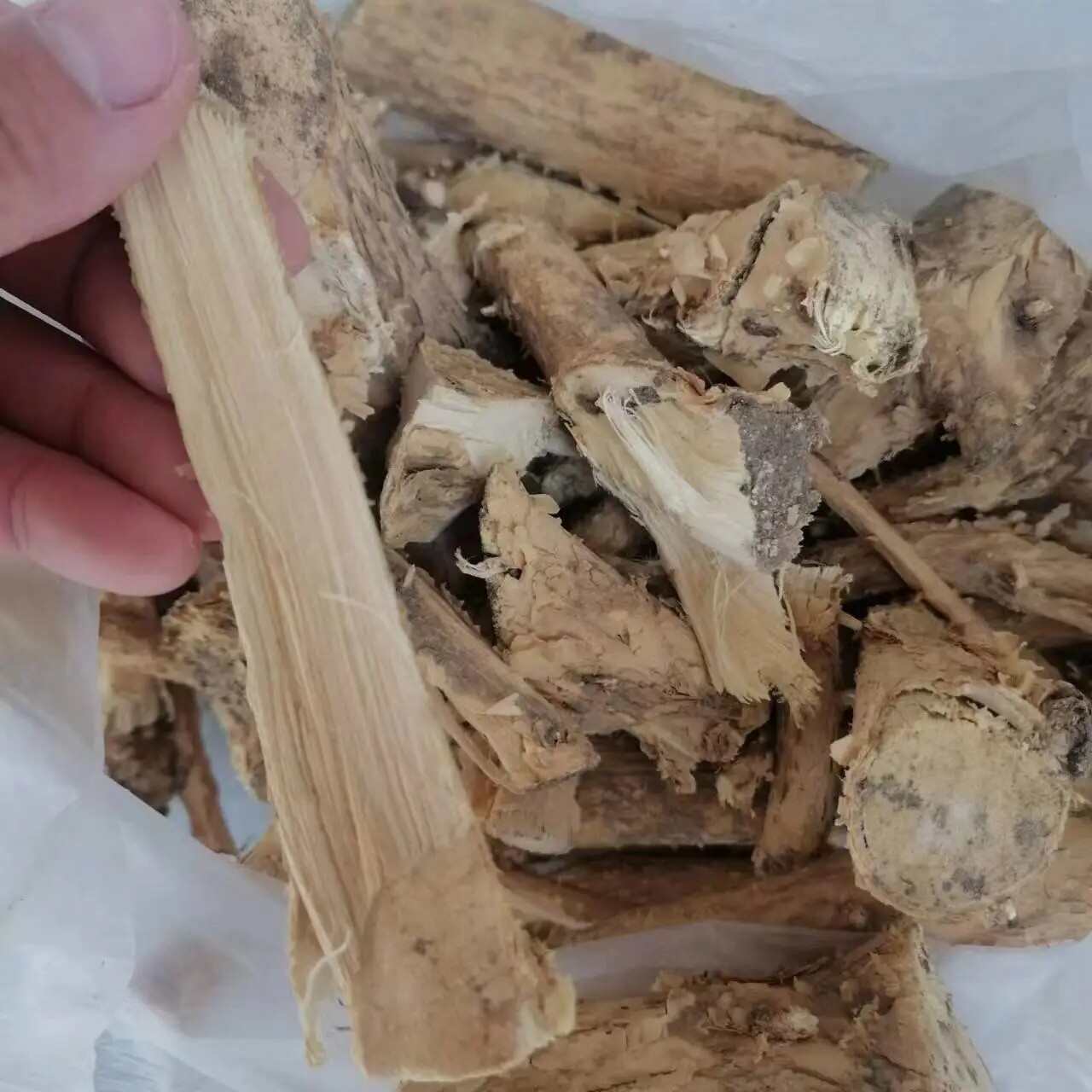 皂角树根皂角根皮优质皂角刺树根天丁皂角刺根皂荚根